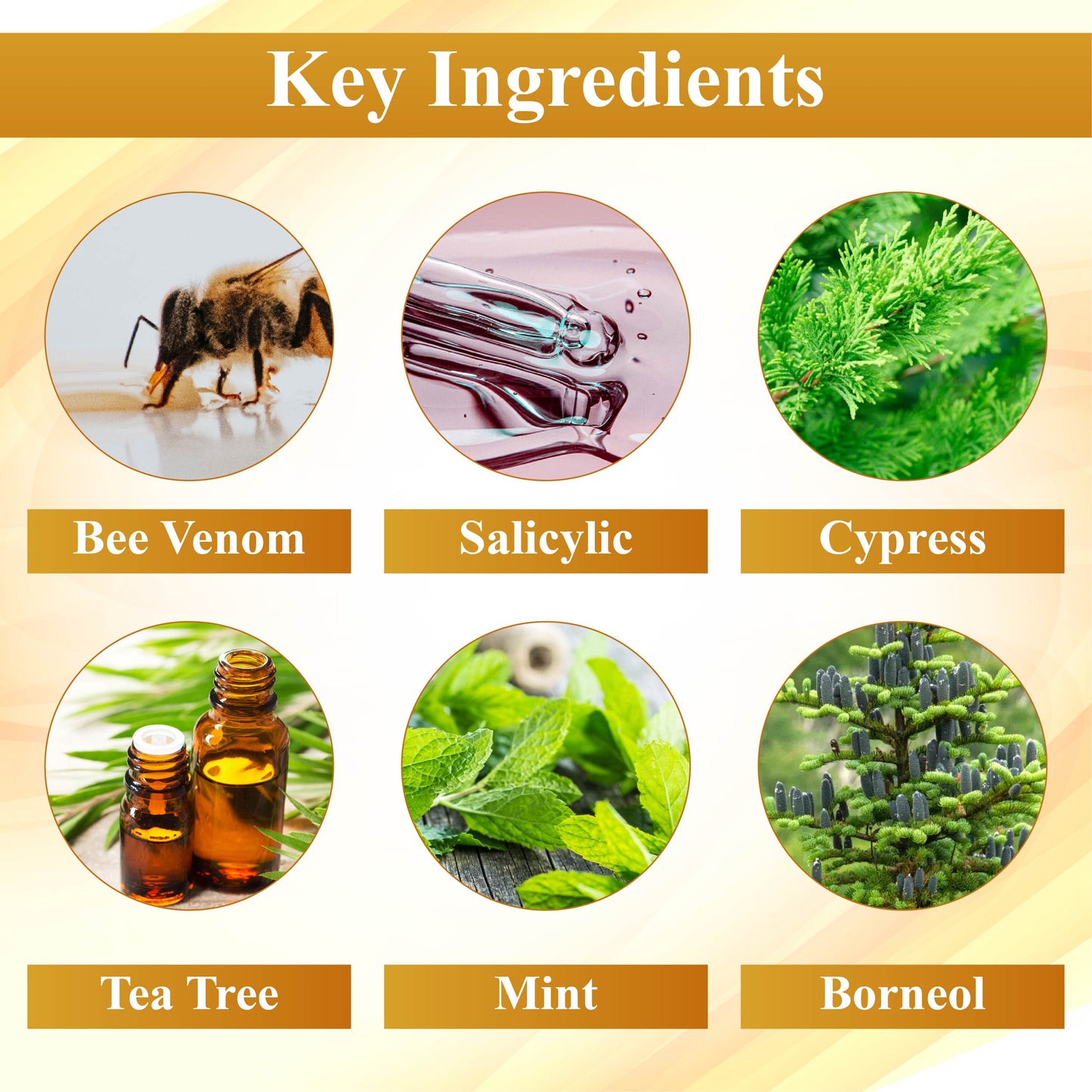 ATTDX® Condense Mellifera Venom Skin Repairing Cream