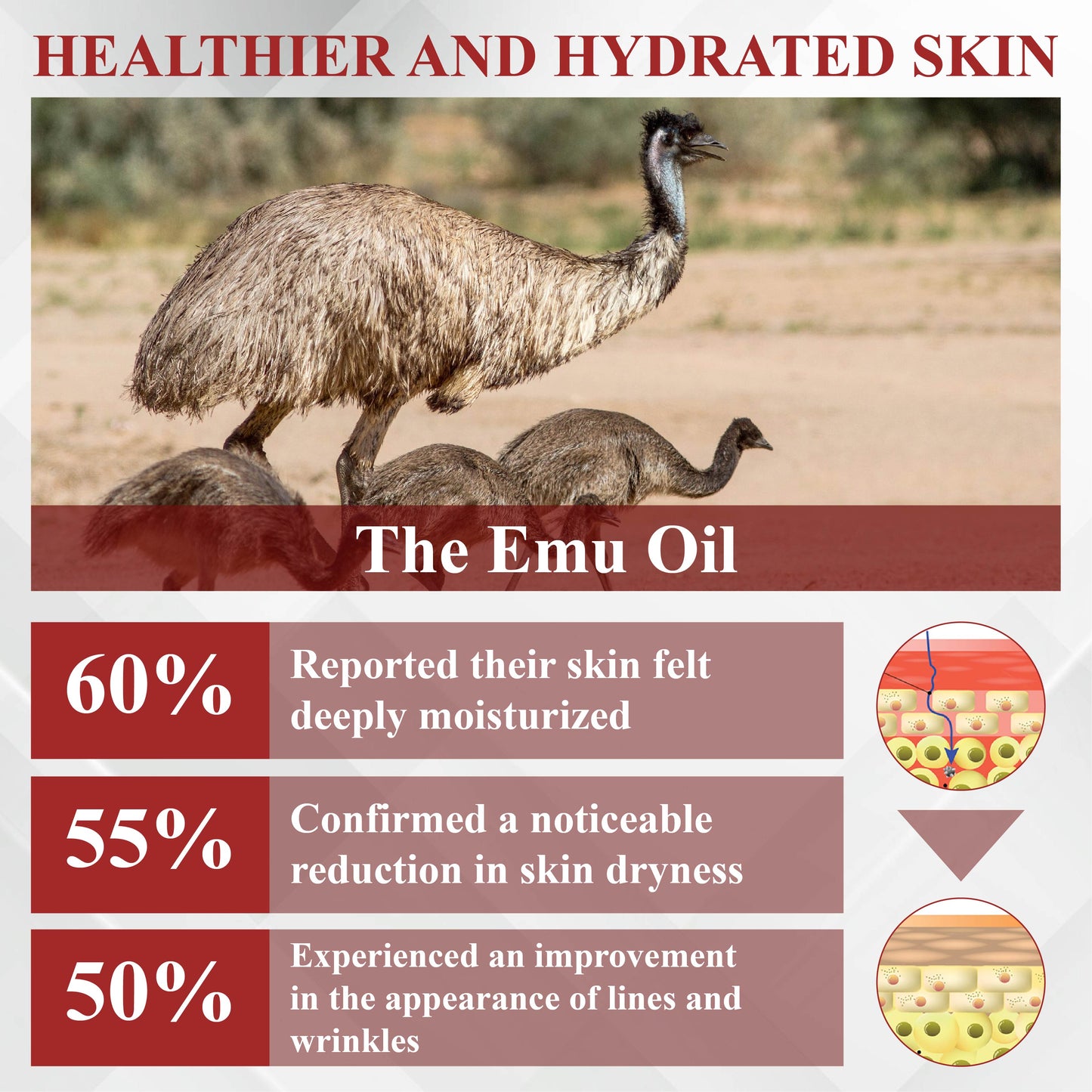 RelievaDerm™ Emu Oil Skin Therapy Botanical Ointment