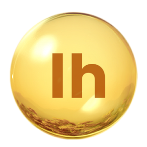 ATTDX® HormoSync Microneedle FertiliPatch Pro 26 10006