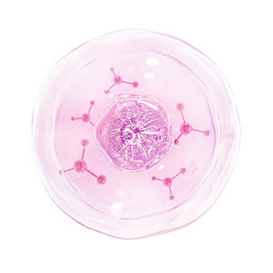 ATTDX® HormoSync Microneedle FertiliPatch Pro 28 10007