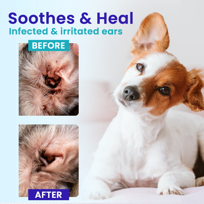ATTDX® PetPure Pet Ear Pro Drops FM+