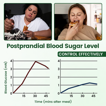 ATTDX® Moringa · Berberine + NAD+ 10-in-1 Nano Microneedle Patch