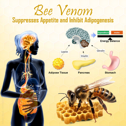 Bee Venom Belly Button DetoxShaping Serum
