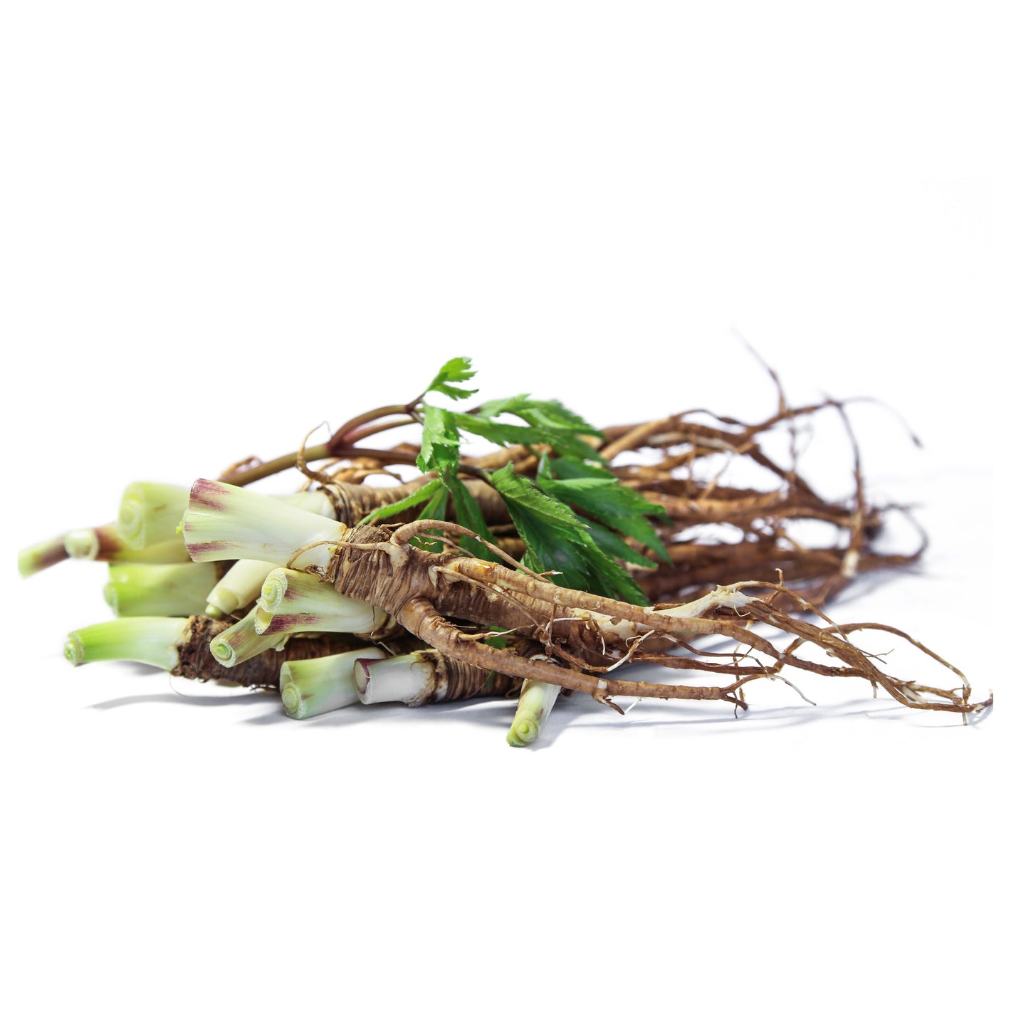 ATTDX® EdemaCare Lymphatic Drainage Massage Cream 31 ATTDX® EdemaCare Lymphatic Drainage Massage Cream