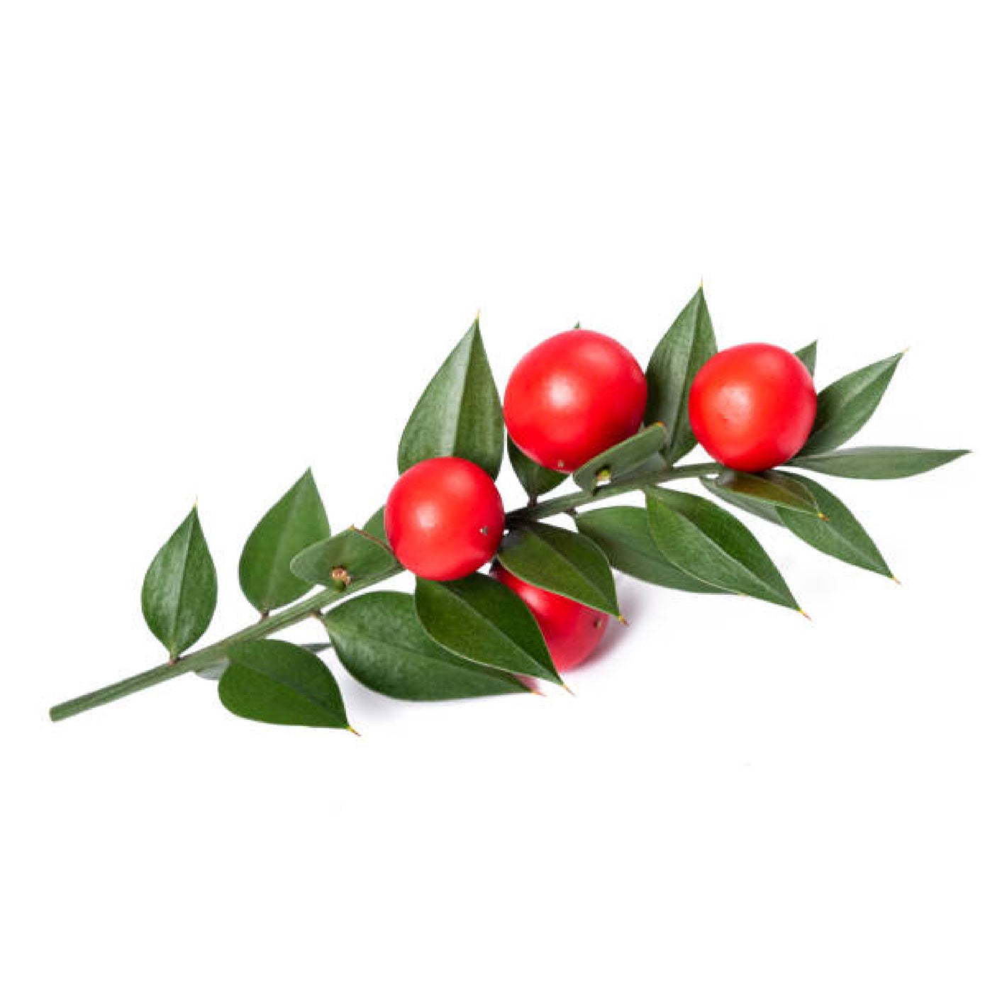 ATTDX® EdemaCare Lymphatic Drainage Massage Cream 32 ATTDX® EdemaCare Lymphatic Drainage Massage Cream