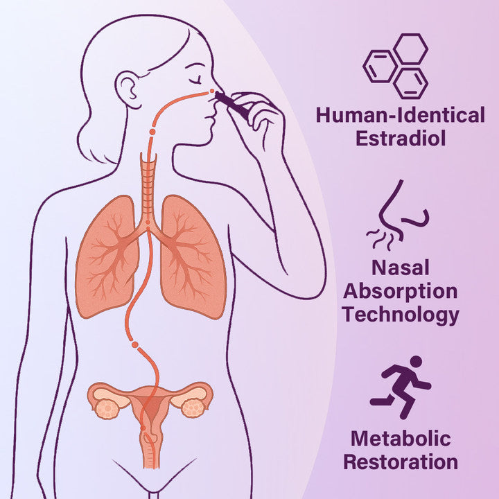 ATTDX® Estradiol Menopause Weight Loss Nasal Inhalation Stick 16 ATTDX Estradiol Menopause Weight Loss Nasal Inhalation Stick 008
