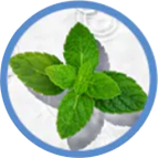 ATTDX® GentX WartRelief Cream image ATTDX® GentX WartRelief Cream