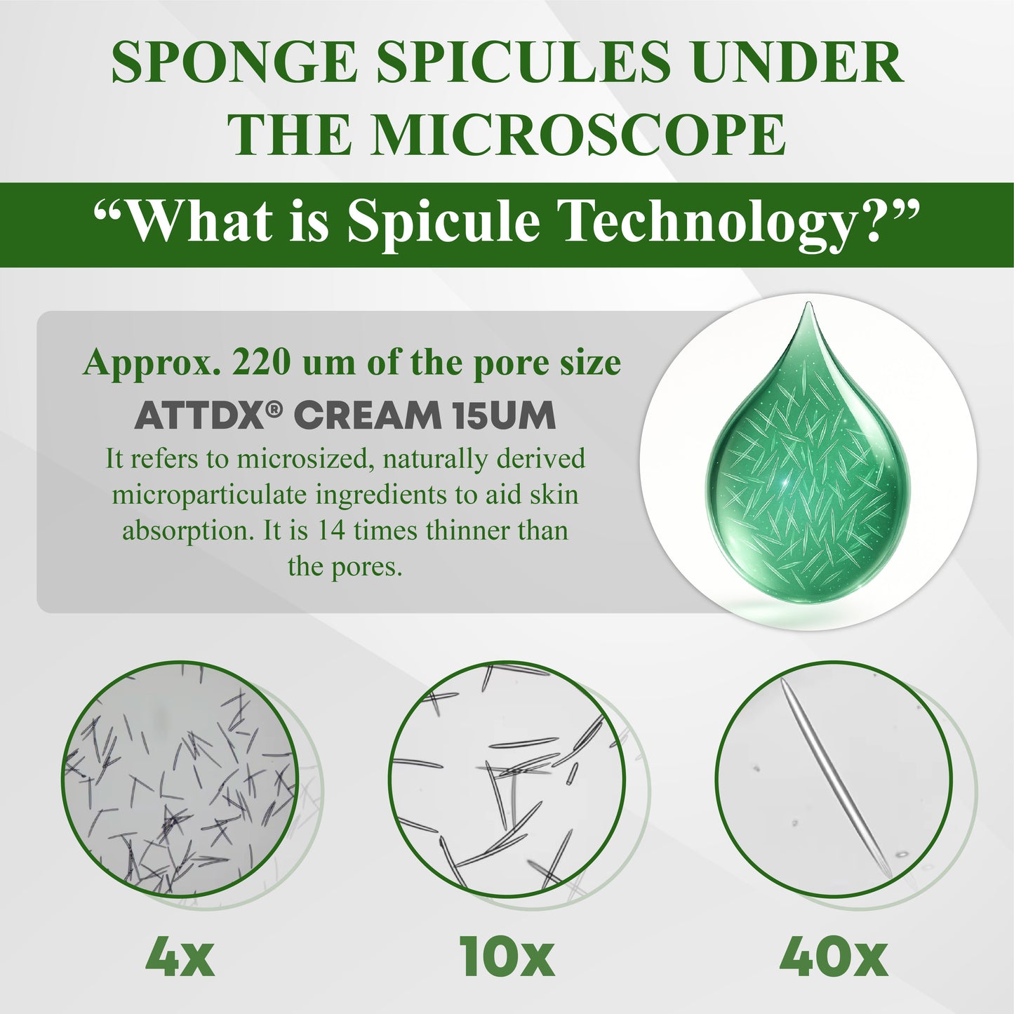 ATTDX® SpiculeFlow Advanced Edema Drainage Cream