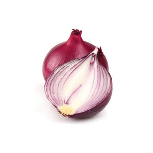 Allium cepa