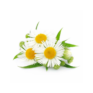 Bisabolol ATTDX PsoriEase Magnesium Healing Foam abi03