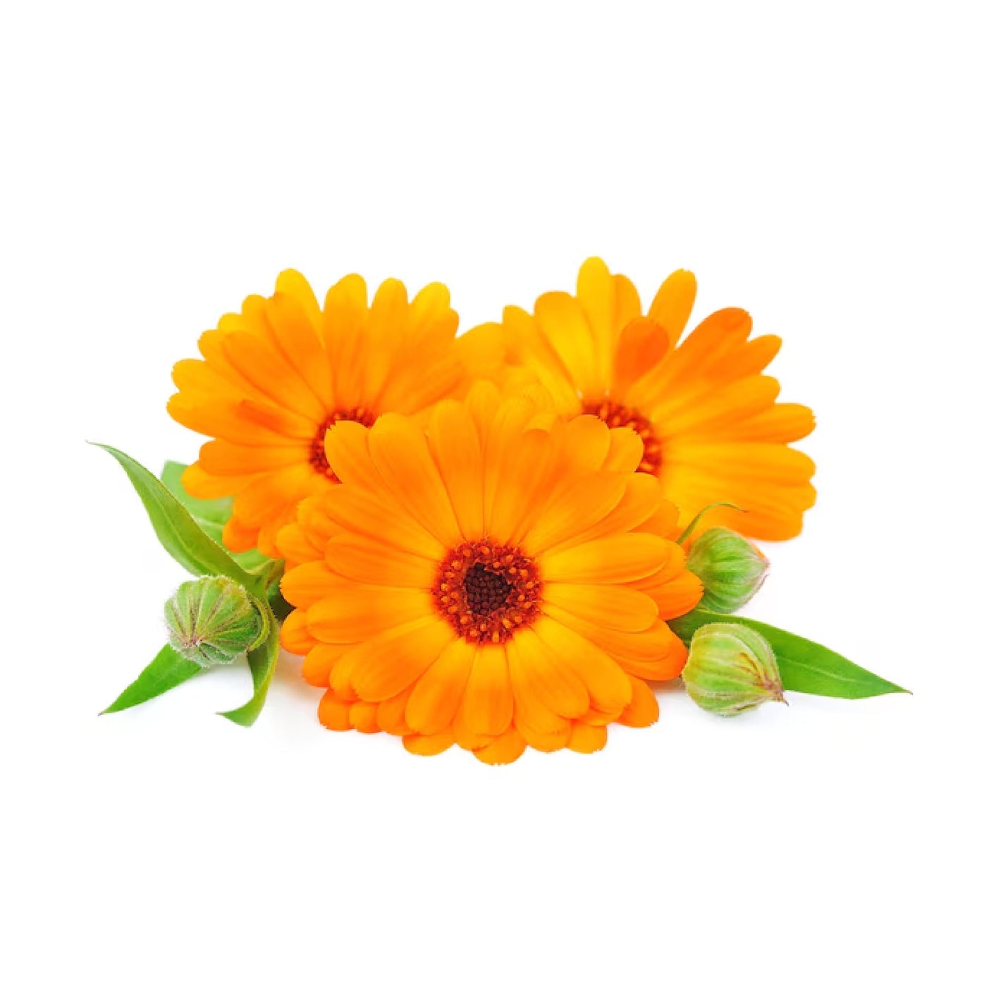 ATTDX® Medical Hemorrhoid Herbal Gel with Applicator 31 ATTDX® Medical Hemorrhoid Herbal Gel with Applicator