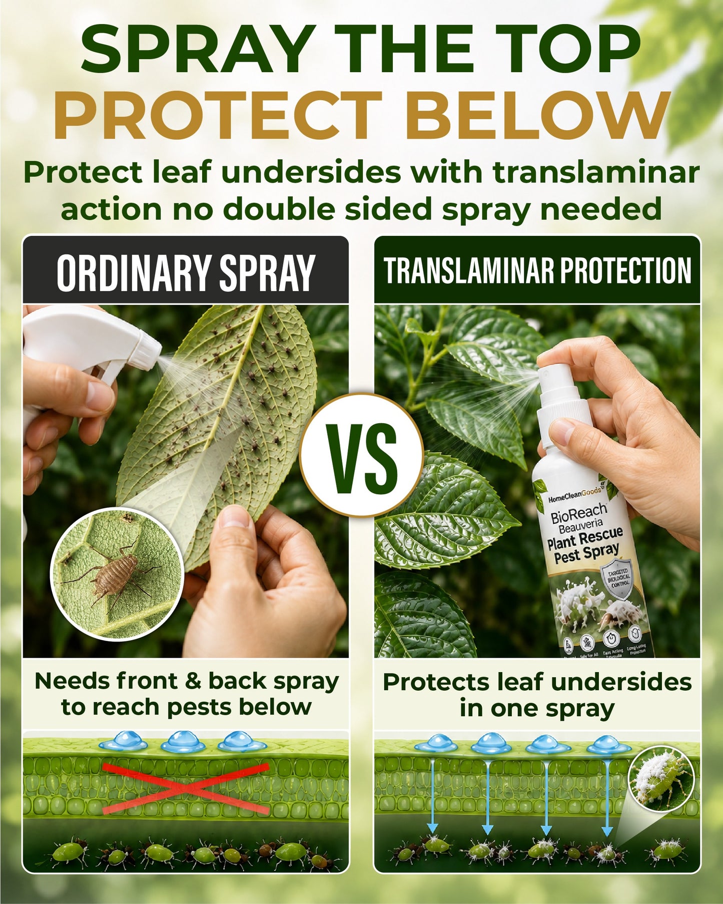 HomeCleanGoods™ BioReach Beauveria Plant Rescue Pest Spray