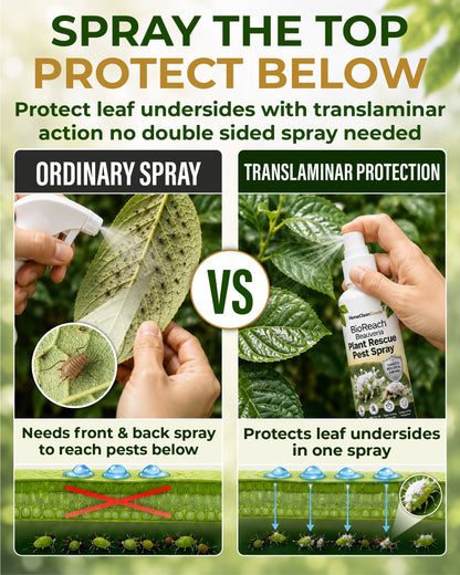 HomeCleanGoods™ BioReach Beauveria Plant Rescue Pest Spray