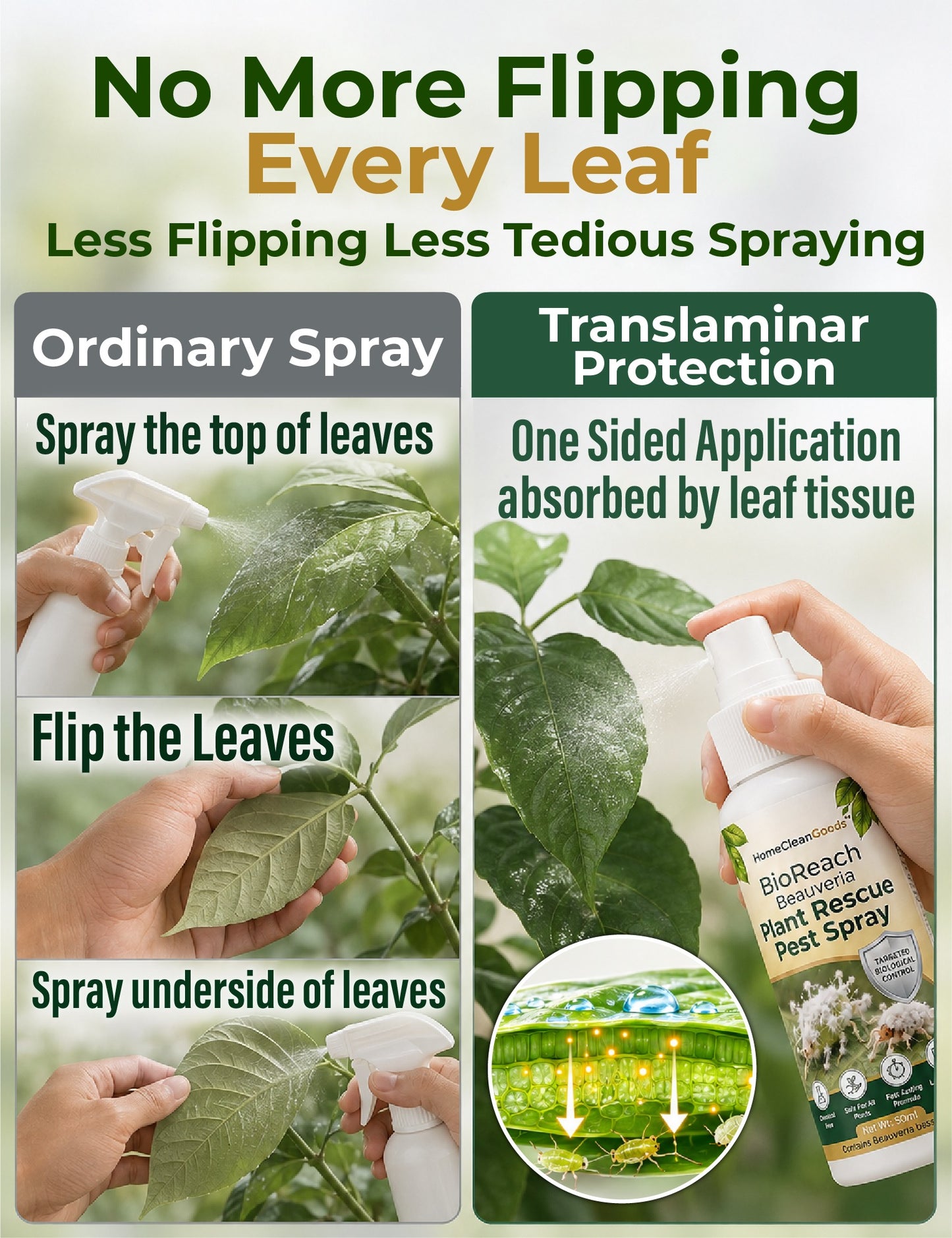 HomeCleanGoods™ BioReach Beauveria Plant Rescue Pest Spray