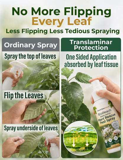 HomeCleanGoods™ BioReach Beauveria Plant Rescue Pest Spray