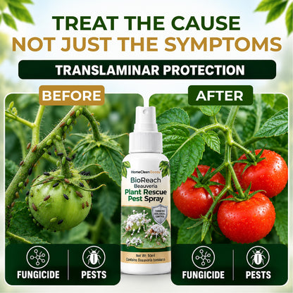 HomeCleanGoods™ BioReach Beauveria Plant Rescue Pest Spray