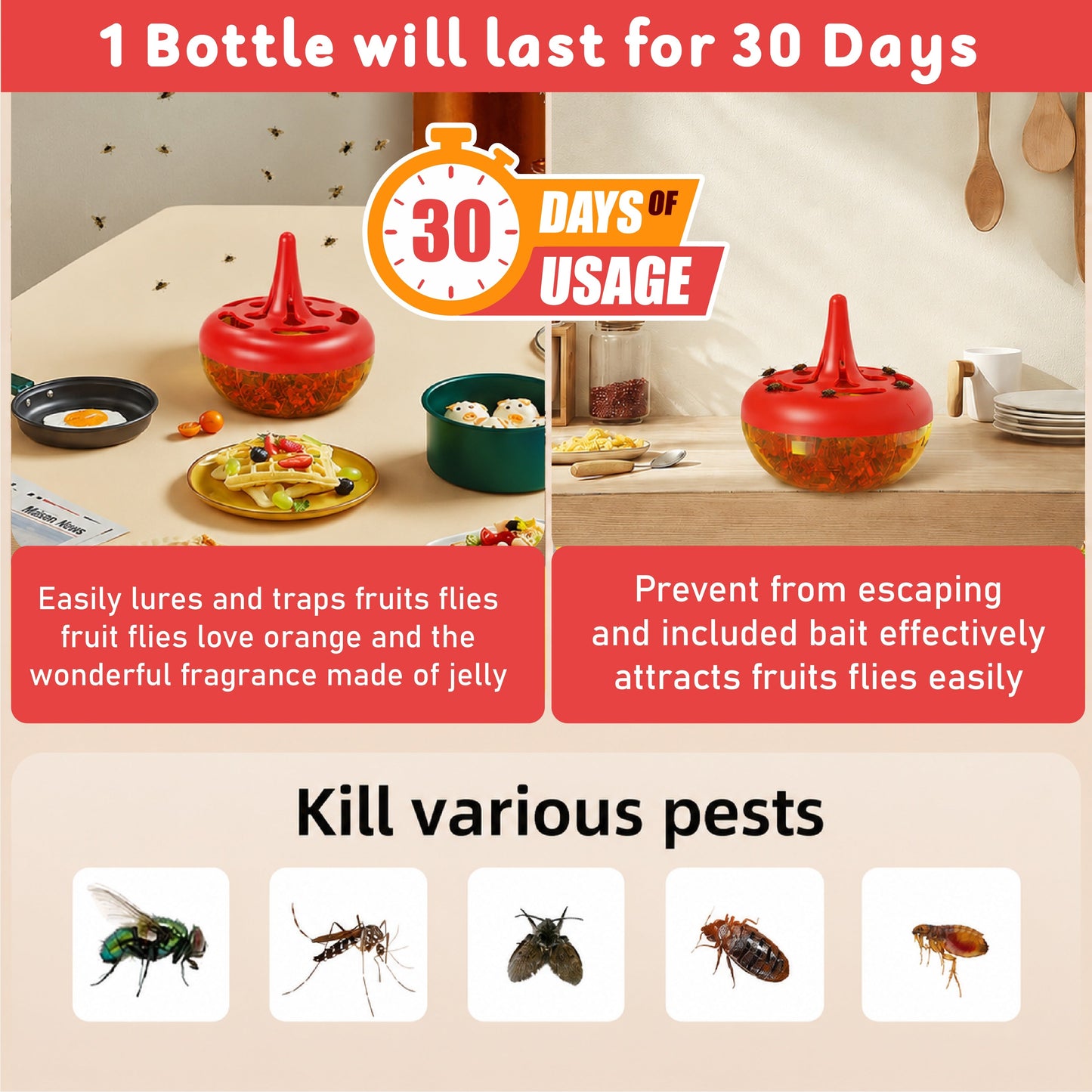 HomeCleanGoods™ CleanNest Fly & Multi-Pest Bait Trap