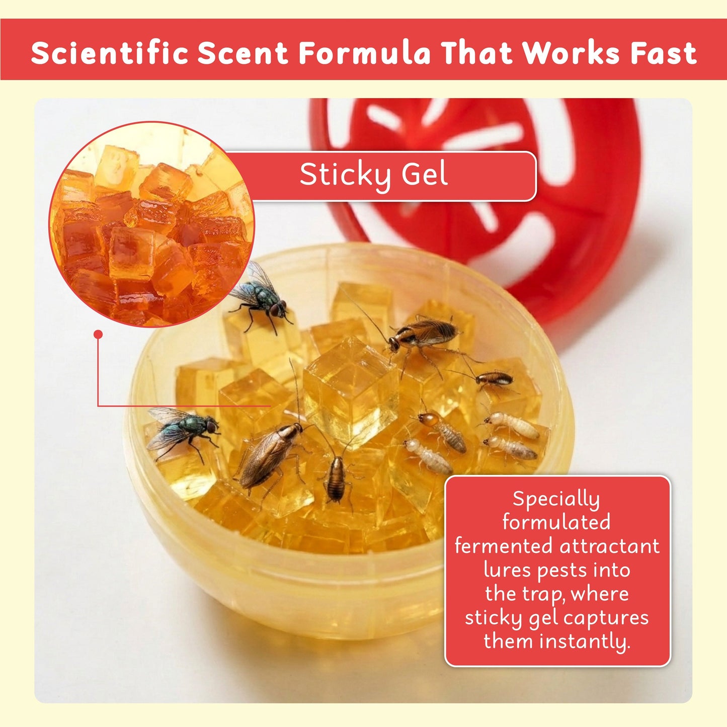 HomeCleanGoods™ CleanNest Fly & Multi-Pest Bait Trap