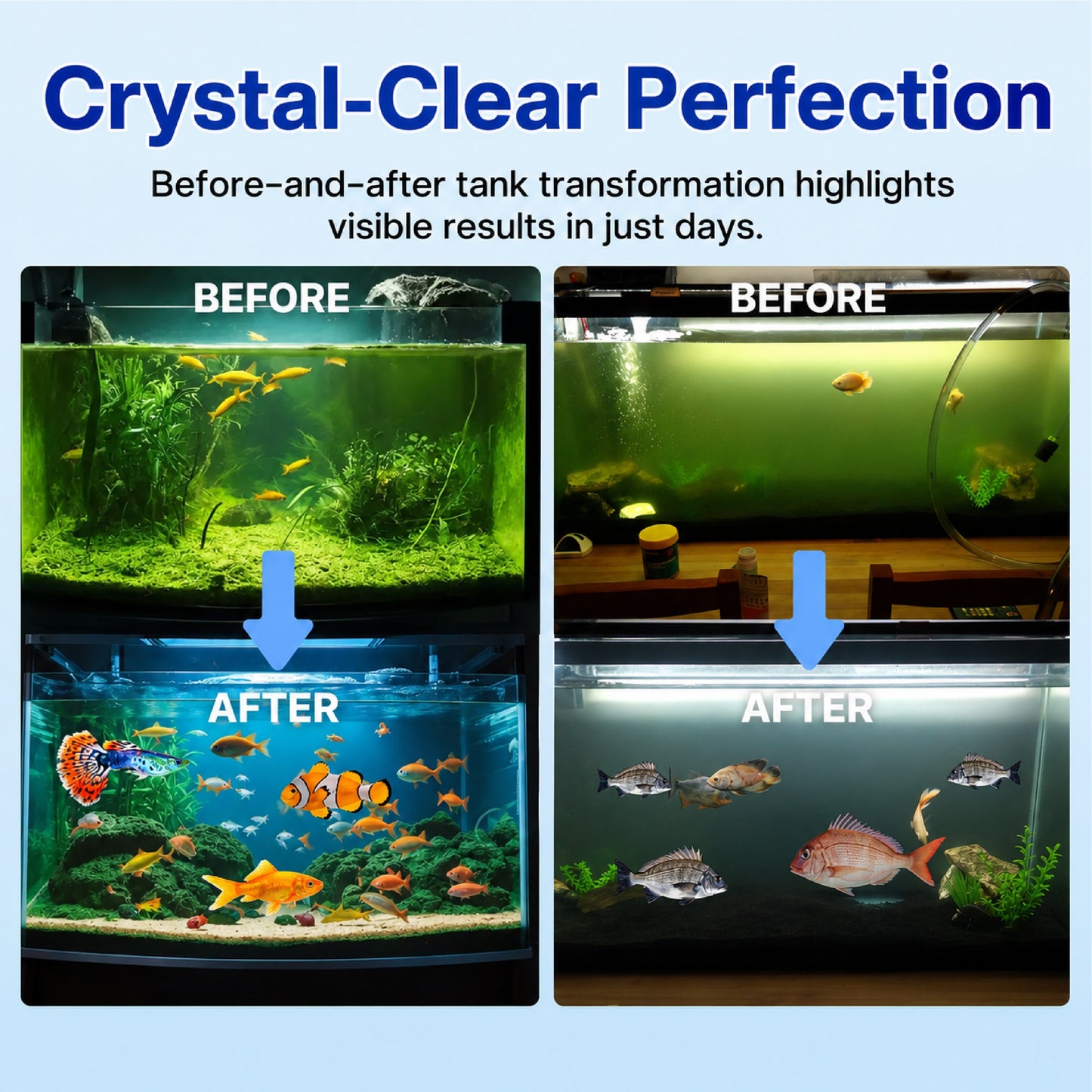 HomeCleanGoods™ FishVital Aquarium Blend