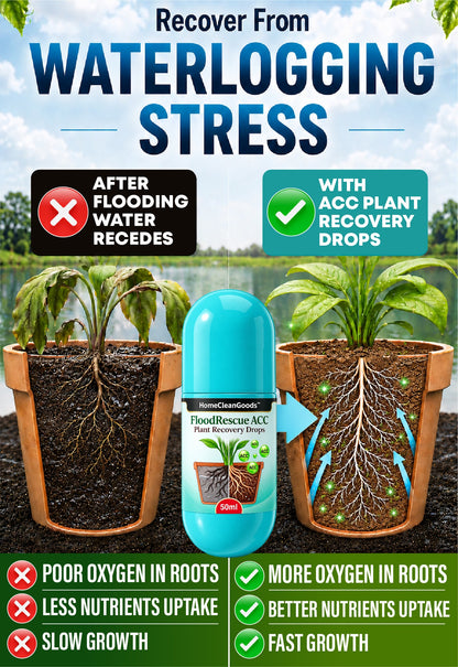 HomeCleanGoods™ FloodRescue ACC Plant Recovery Drops