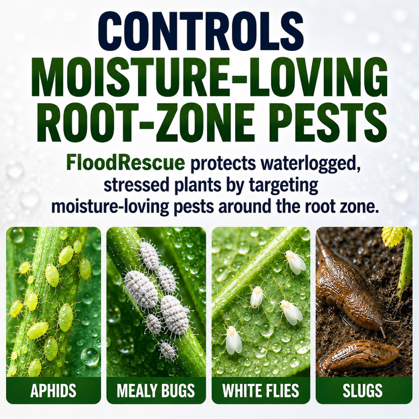 HomeCleanGoods™ FloodRescue ACC Plant Recovery Drops