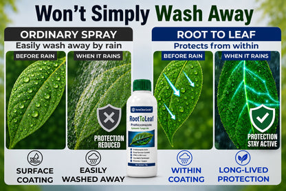 HomeCleanGoods™ RootToLeaf Prothioconazole Systemic Fungicide