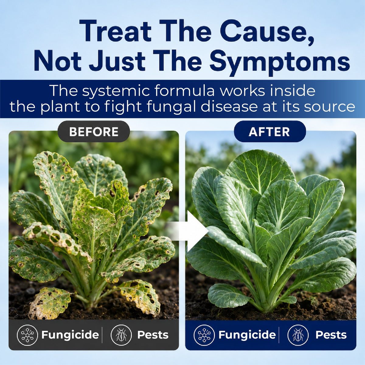HomeCleanGoods™ RootToLeaf Prothioconazole Systemic Fungicide