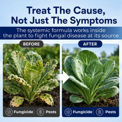 HomeCleanGoods™ RootToLeaf Prothioconazole Systemic Fungicide