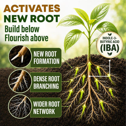 HomeCleanGoods™ RootVital IBA Plant Rescue Liquid