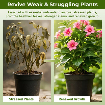 HomeCleanGoods™ RootVital Plant Resurrection Liquid