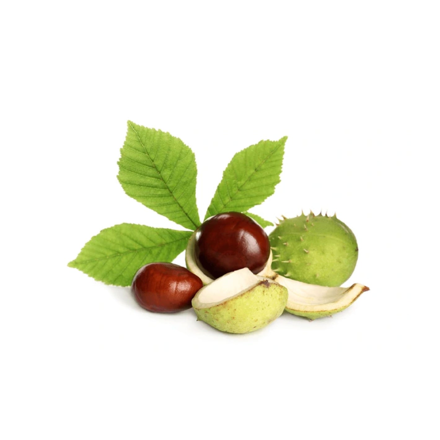 ATTDX® Bromelain Edema & Vein Care Cream 41 ATTDX® Bromelain Edema & Vein Care Cream