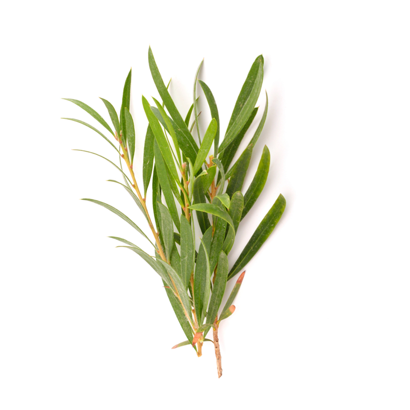 ATTDX® Herdle Shot Spot & Mole Correct Serum 34 ATTDX® Herdle Shot Spot & Mole Correct Serum