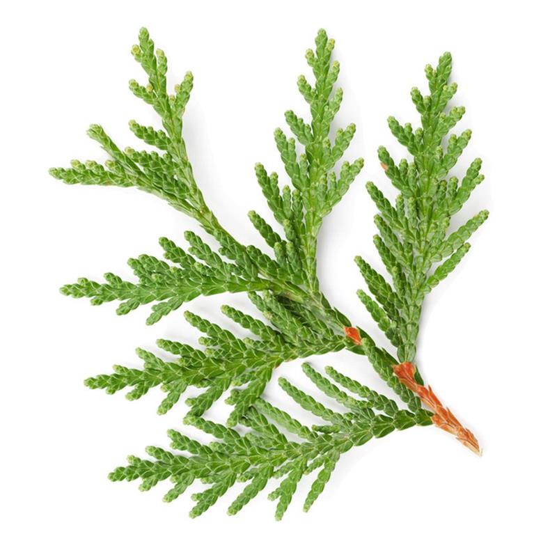 ATTDX® Herdle Shot Spot & Mole Correct Serum 32 ATTDX® Herdle Shot Spot & Mole Correct Serum