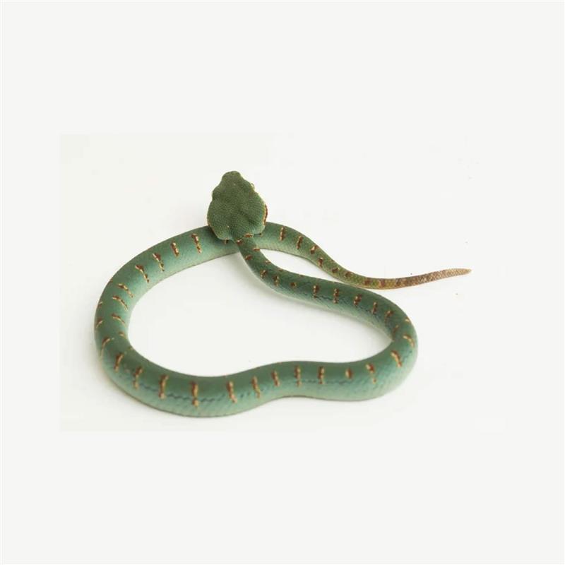 ATTDX® Snake Peptide Shingles Skincare Ampoules